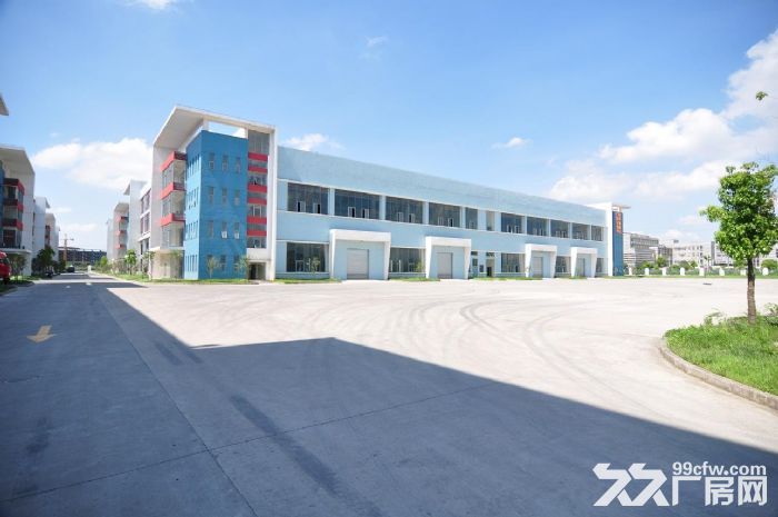 金湾联港500方~1500方~8000平方厂房直租-图4