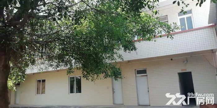 湛江市霞山区    7000 m² 厂房出租-图2