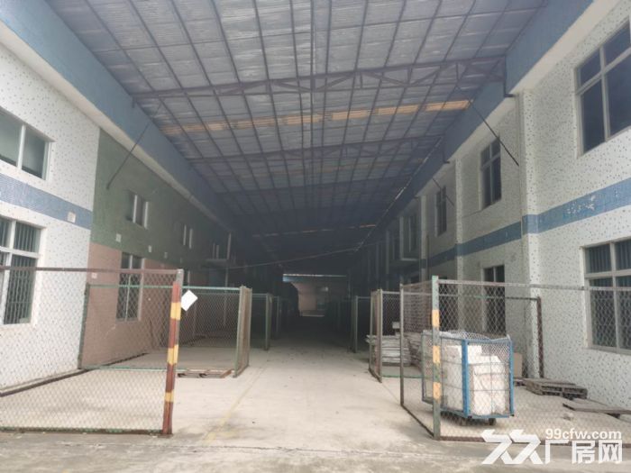 廉江市区主干道大型厂房仓库-图1