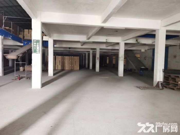 廉江市区主干道大型厂房仓库-图2