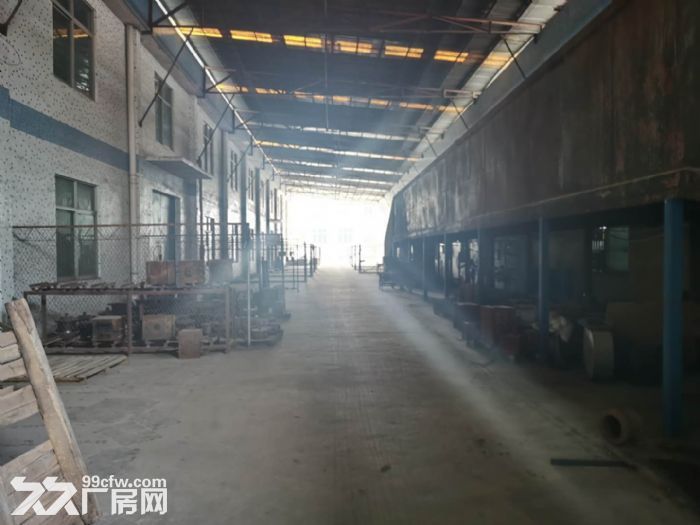 廉江市区主干道大型厂房仓库-图4