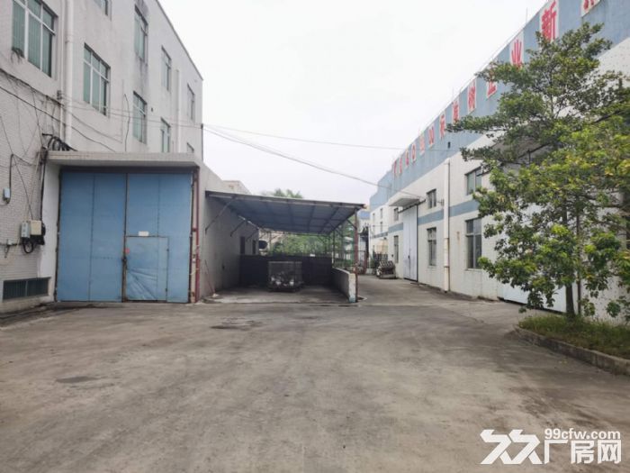 廉江市区主干道大型厂房仓库-图5