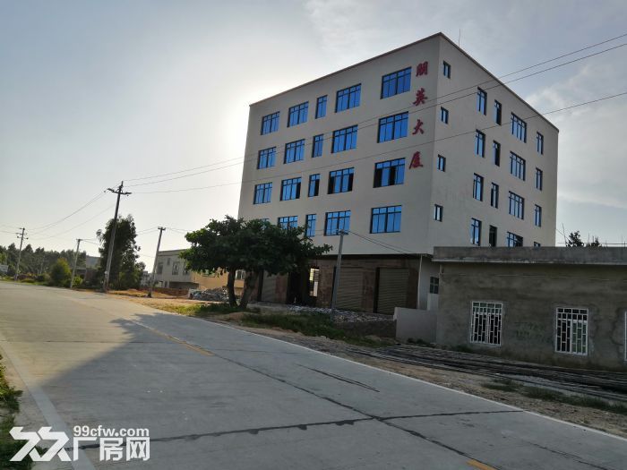 湛江东海岛商业中心新路头和宝钢安置小区附近，6层2700平可租可合作-图1