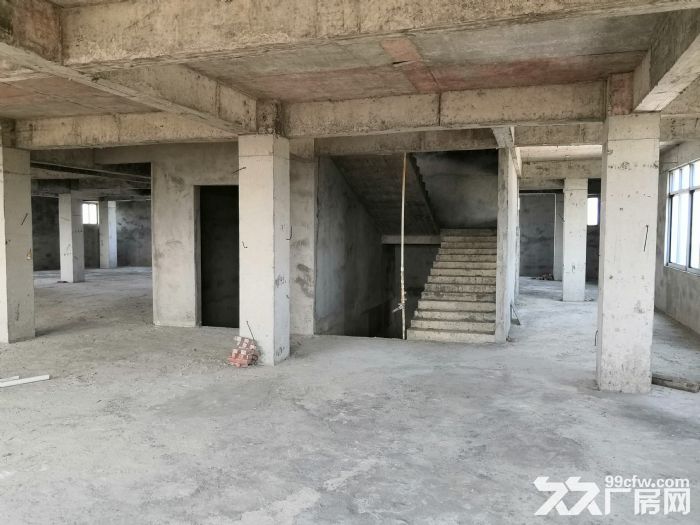 湛江东海岛商业中心新路头和宝钢安置小区附近，6层2700平可租可合作-图2
