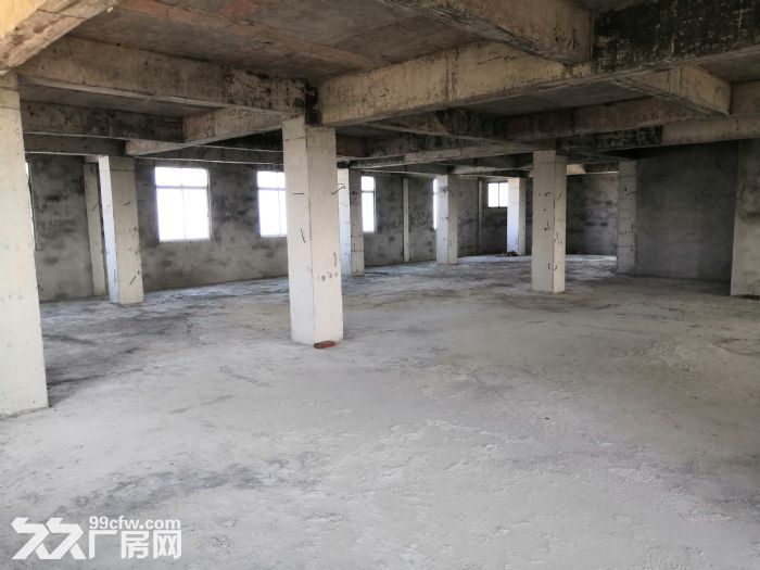 湛江东海岛商业中心新路头和宝钢安置小区附近，6层2700平可租可合作-图3
