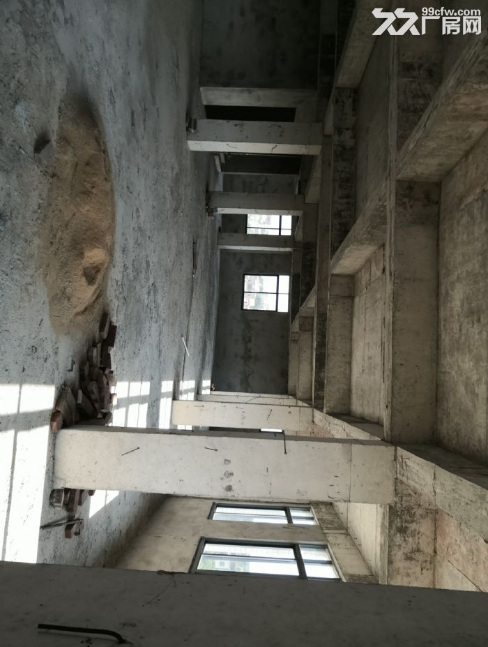 湛江东海岛商业中心新路头和宝钢安置小区附近，6层2700平可租可合作-图4