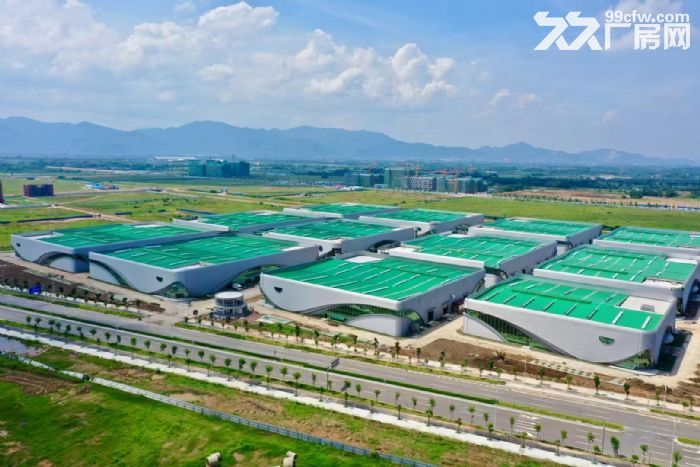 肇庆市鼎湖区全新单一层100000平方-图1