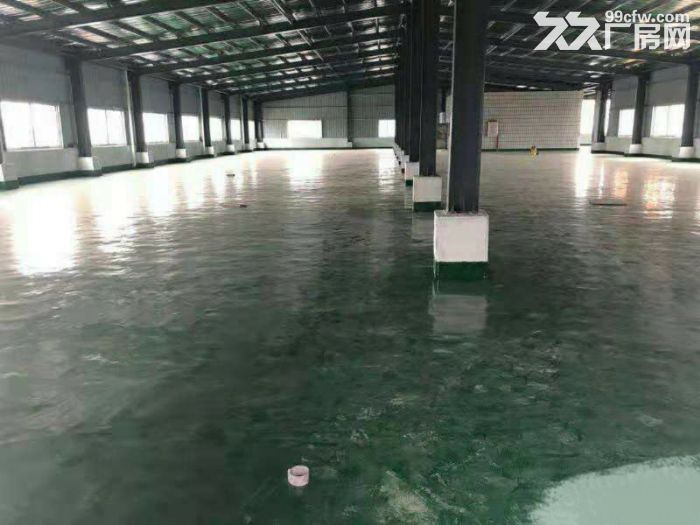 南头穗西独院22500厂房招租 全新地坪漆-图2