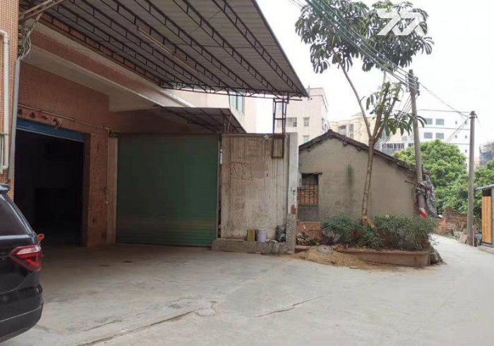 板芙深湾一楼550平方厂房出租 价格便宜 近路边 消防到位 证件齐全 好招工-图2