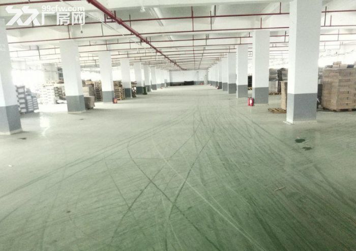 东凤镇独栋6000方厂房招租 可分租 空地大 拖头可进出 行业不限 可办环评-图3