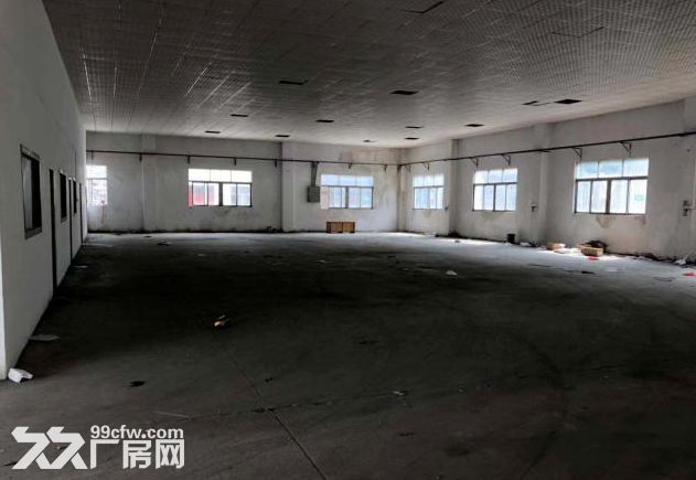 小榄绩西原房东独院单一层550平厂房出租 实际面积 便宜价 非常实在-图3