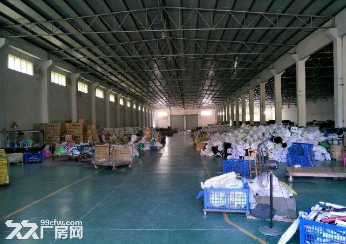 黄圃马新单一层1600方厂房招租 独门独院 空地大 货柜好进出 可办环评-图3