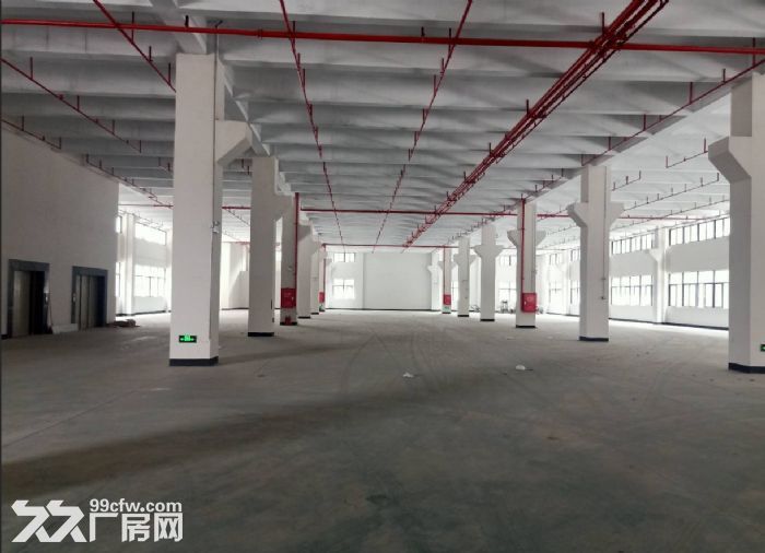 小榄一楼全新独门独院2000平厂房出租，厂房业主直租-图3