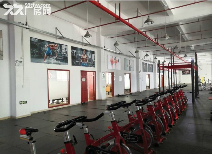 板芙红本独院厂房1000平厂房出租，空地大，车位充足-图1