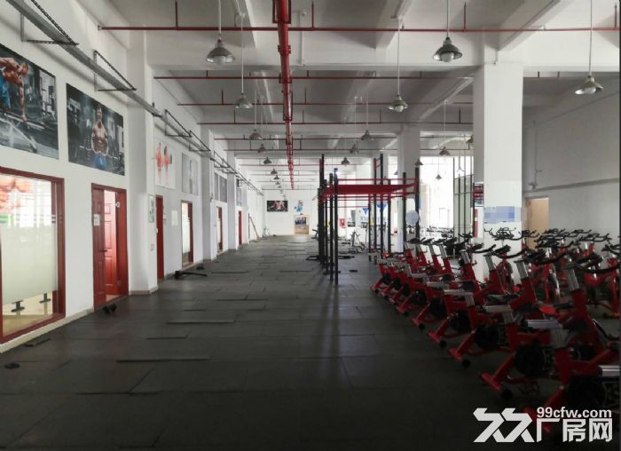 板芙红本独院厂房1000平厂房出租，空地大，车位充足-图3