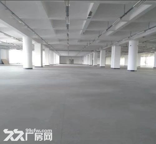 环洲北路独栋4800方厂房招租 可分租 空地大 好停车 有环保证 行业不限 便宜-图1