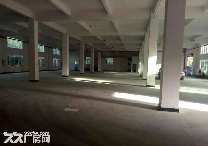 装修完善 南头穗西一楼1300方厂房招租 近高速 交通方便 食宿配套 好招工-图1