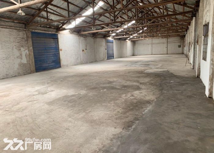 南头升平北路单一层550方厂房出租 周边交通便利 好停车 有空地 租金便宜-图5