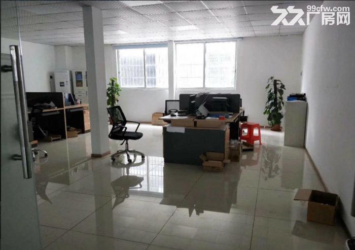 渡兴西路标准一楼900平方厂房出租 现成主线装修 证件齐 形象好 好办环评-图3