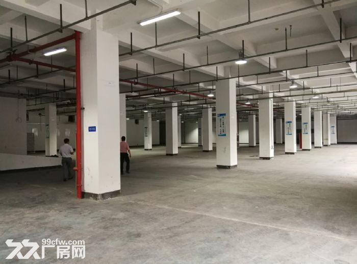 环镇北路3000方厂房招租 好招工 无公摊 九成新 价钱可谈 空地大 好装柜-图3