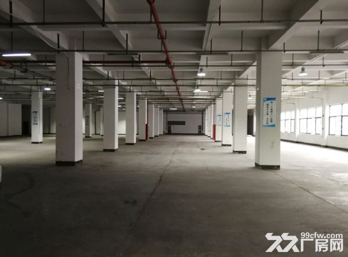 环镇北路3000方厂房招租 好招工 无公摊 九成新 价钱可谈 空地大 好装柜-图4
