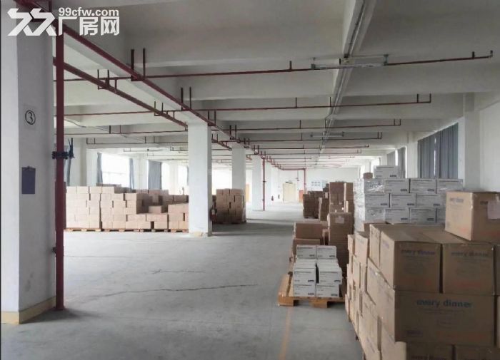 坦洲坦神北路独栋4600方厂房招租 可分租 空地大 行业不限 有环评 交通方便-图1