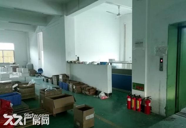 坦洲界狮北路1200方厂房招租 现成装修 带货梯 空地大 好停车-图4