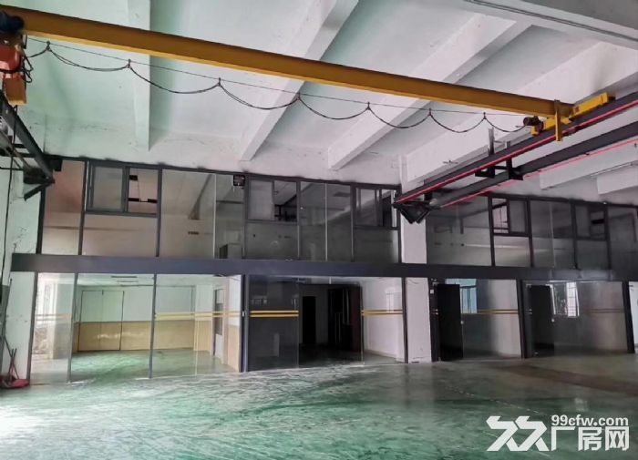 坦洲标准1200方厂房仓库招租，园区交通方便-图3