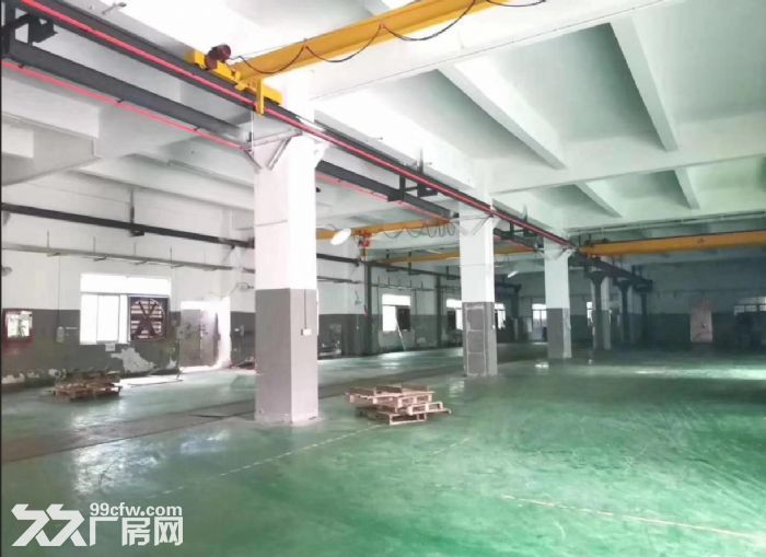 坦洲标准1200方厂房仓库招租，园区交通方便-图2