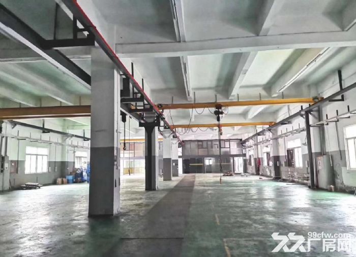 坦洲标准1200方厂房仓库招租，园区交通方便-图4