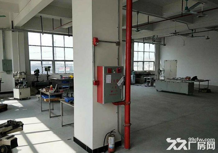 坦洲镇850方标准厂房出租 形象好 带货梯 九成新 现成办公室 好招工-图4