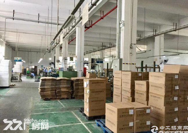 沙边工业园原房东工业区一楼5500平厂房出租，一楼带牛角7米-图3