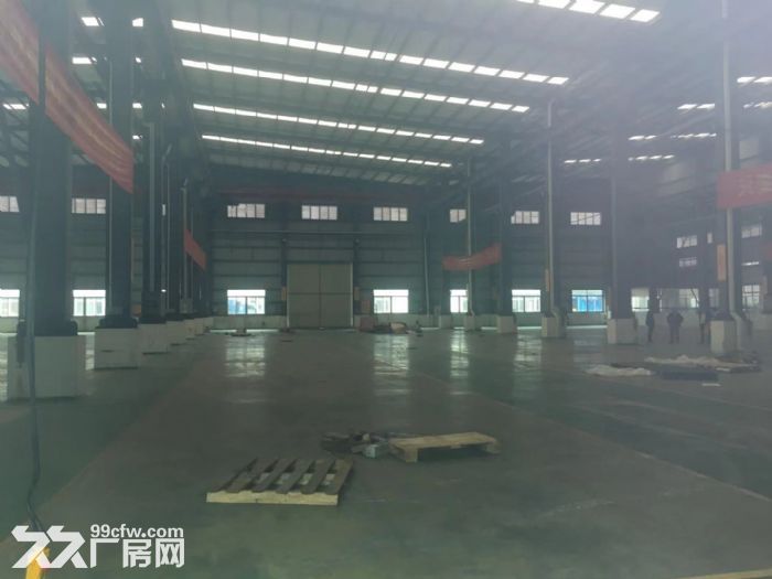 南头高速出口独院26000㎡大型仓库厂房招租可分租-图6