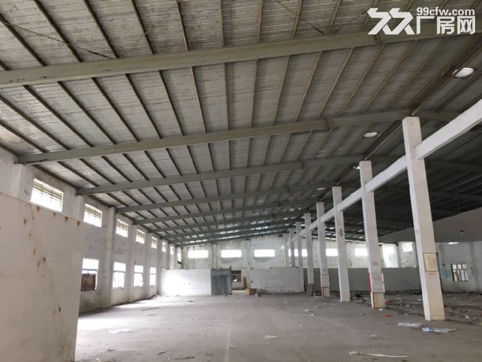 黄圃火力发电厂房附近6000平米带蒸汽独院星棚厂房招租可分租-图3