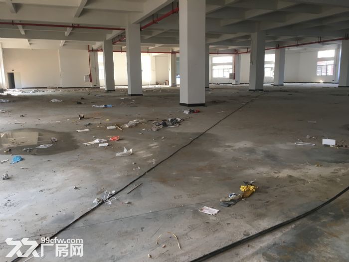 三乡小琅环路独院12500㎡标准厂房招租可分租-图3