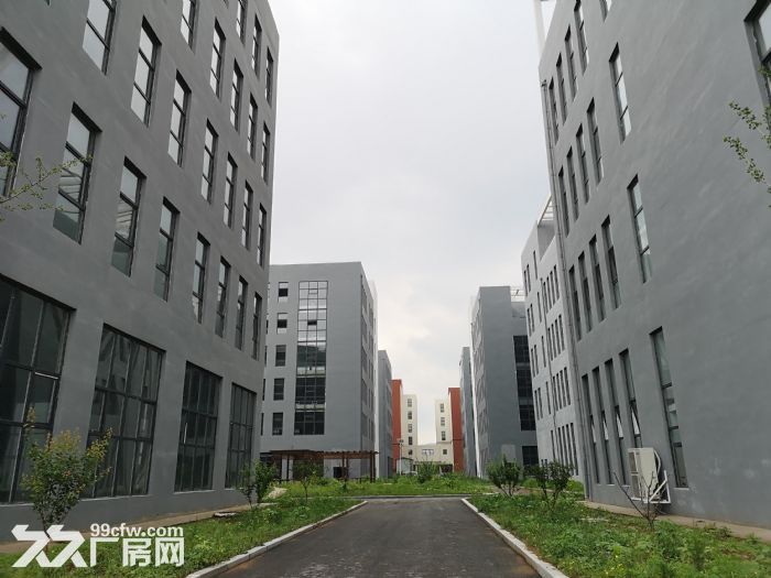 海凭国际医疗器械产业园-图1