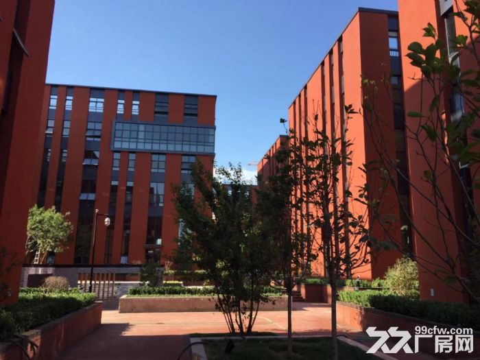 工业园区厂房出租出售 环评宽松  市政水电 价格低  大门4乘4  交通便利-图5