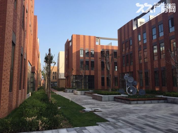 出租出售  工业园区轻钢厂房独栋办公楼出售，环评限制宽松-图3