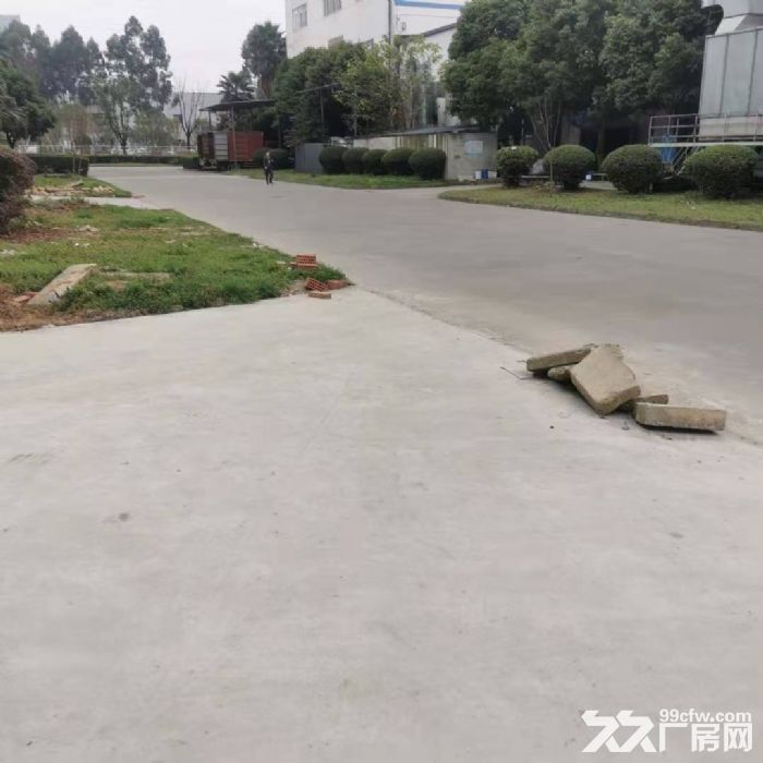 星光路2800㎡小平米仓储厂房全新可分租900㎡-图7