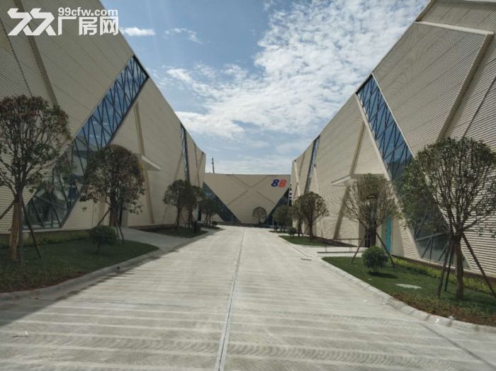 天府新区新建厂房，2550平米可分租，形象好 高新技术企业聚集。-图5