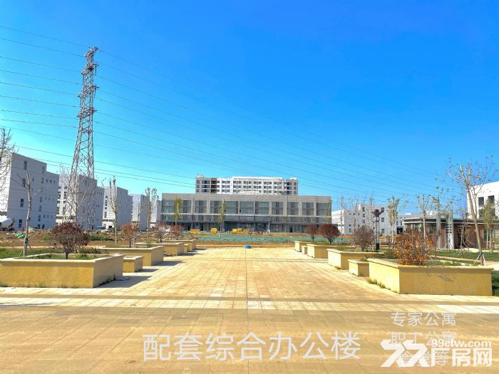 专业生物医药产业生产聚集园区-图6