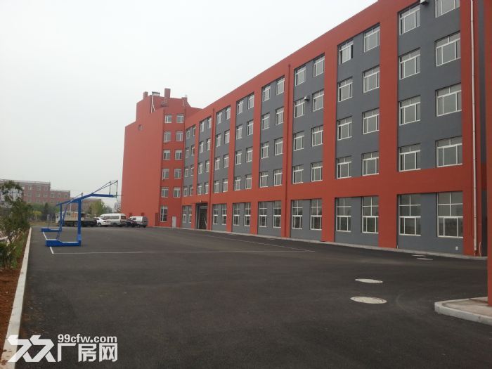 保税区标准框架厂房出租-图1