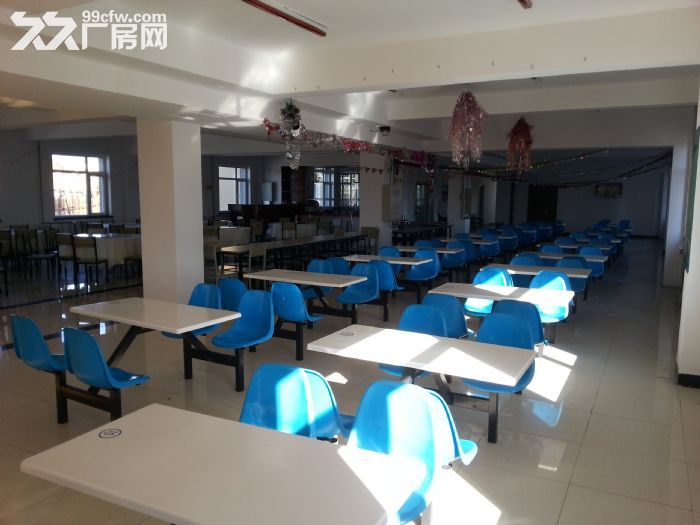 保税区标准框架厂房出租-图3