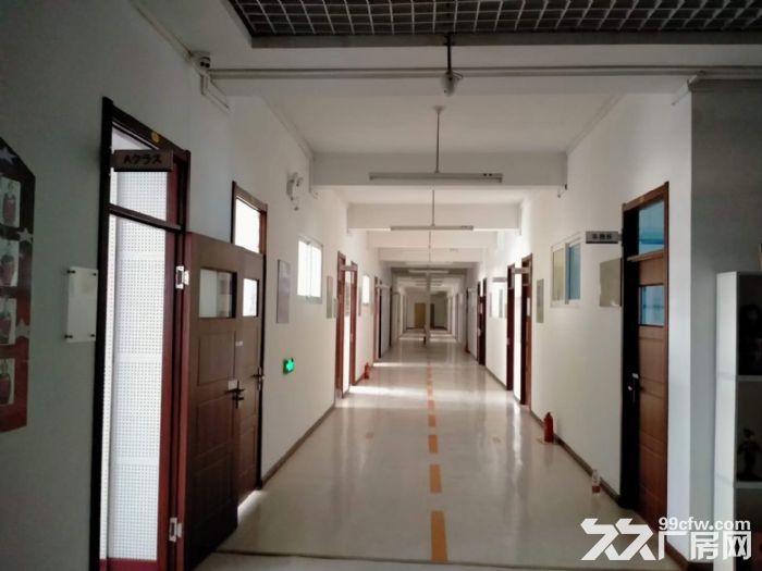 保税区标准框架厂房出租-图6