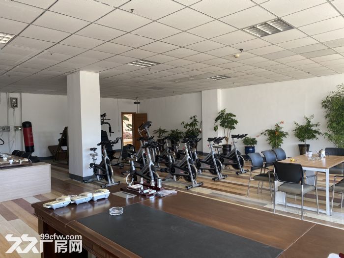 （非中介）出租保税区办公室、厂房、仓库-图1