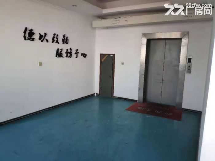 常年出租大连开发区自贸区辽河东路18号厂房   独栋  产权证和土地证-图2