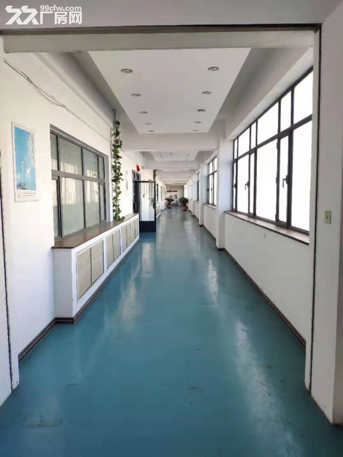 出租大连开发区双D港独栋厂房  动力电  产权证-图2