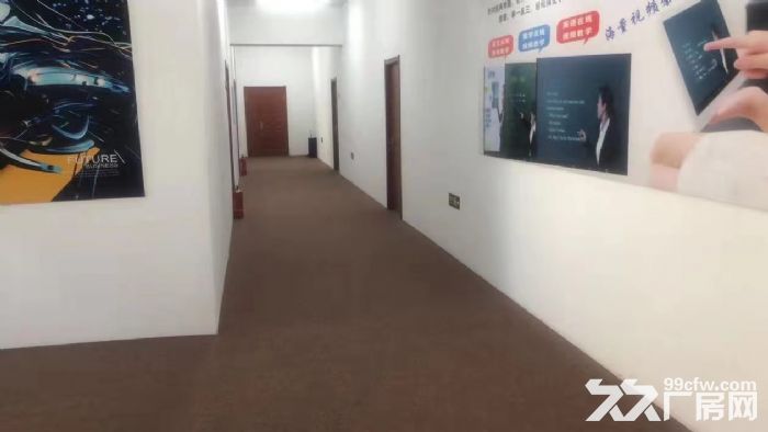出租大连开发区双D港独栋厂房  动力电  产权证-图3