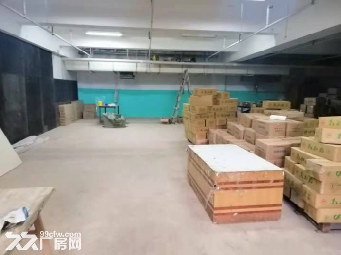 出租大连开发区双D港独栋厂房  动力电  产权证-图7