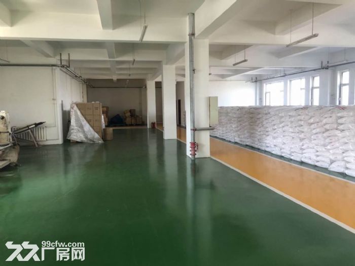 出租开发区1000平标准厂房-图1